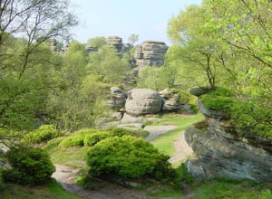 Brimham Rocks near The Firs
